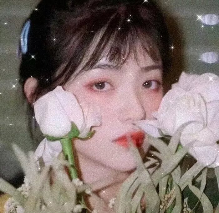 长生秘闻